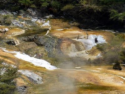 Bien-être en vogue : le tourisme thermal en Bulgarie connaît une croissance de 15 %