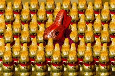 Les 7 et 8 mars 2026 : Découvrez la magie de Sarlat entre bandas, délices culinaires et animations festives avec Fest’Oie