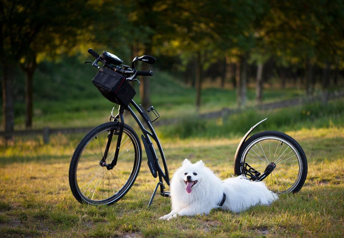 Conseils pratiques pour rester actif pendant les vacances, par un coach sportif