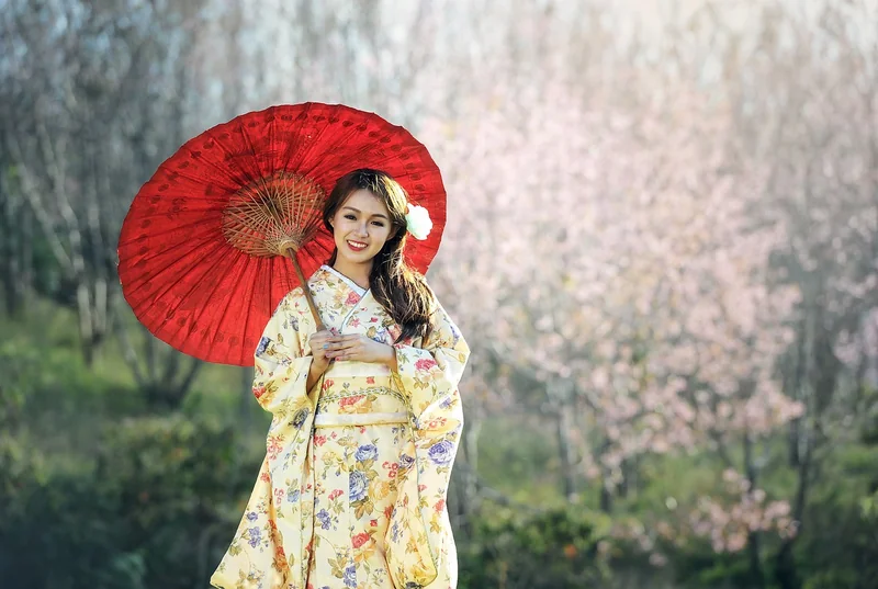 Kyoto : Révéler le véritable héritage des geishas face à l’essor du sur-tourisme