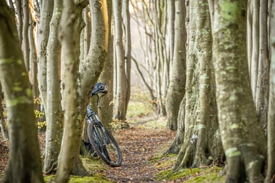 Suède : une piste cyclable panoramique de 170 km reliant Göteborg inaugurée en mai