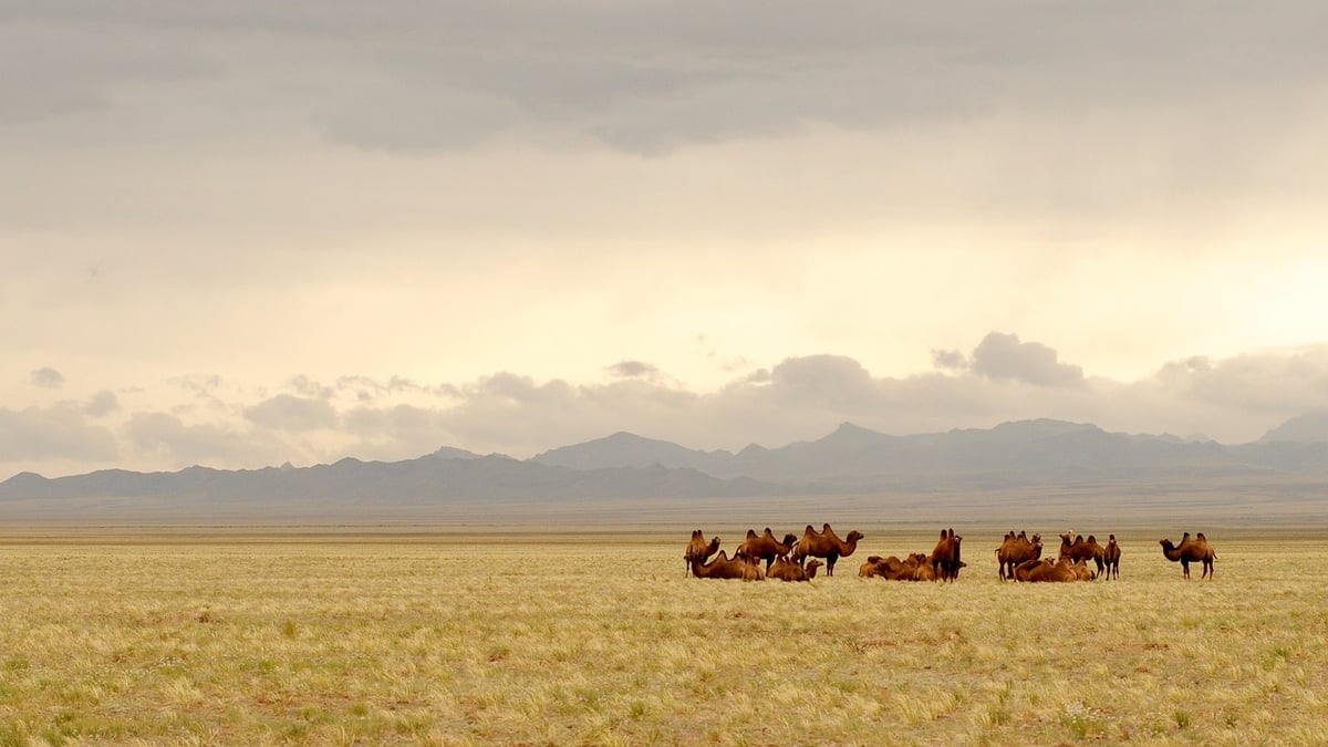 découverte de la mongolie : un regard sur le ministère de l’europe et des affaires étrangères