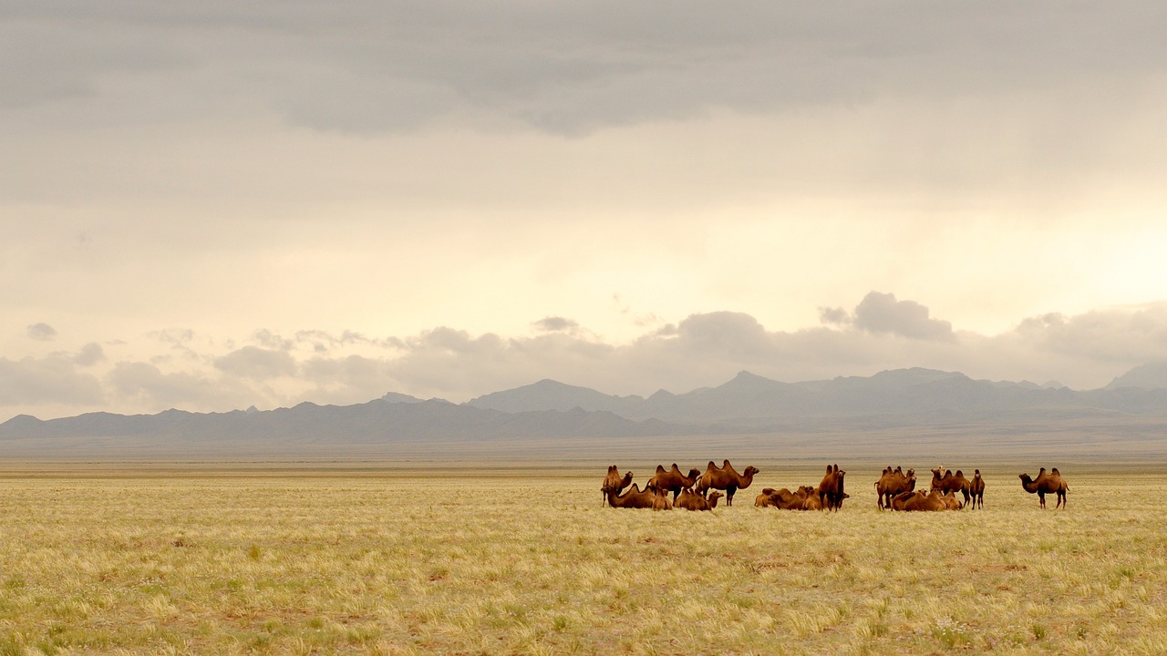 découverte de la mongolie : un regard sur le ministère de l’europe et des affaires étrangères