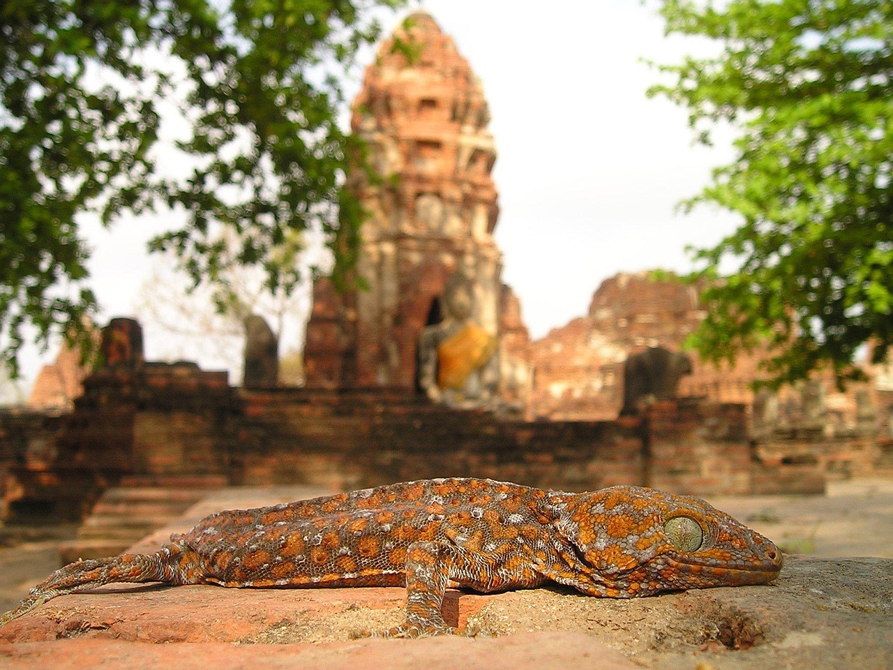 Tensions entre Thaïlande et Cambodge : quelles précautions pour les voyageurs français ?