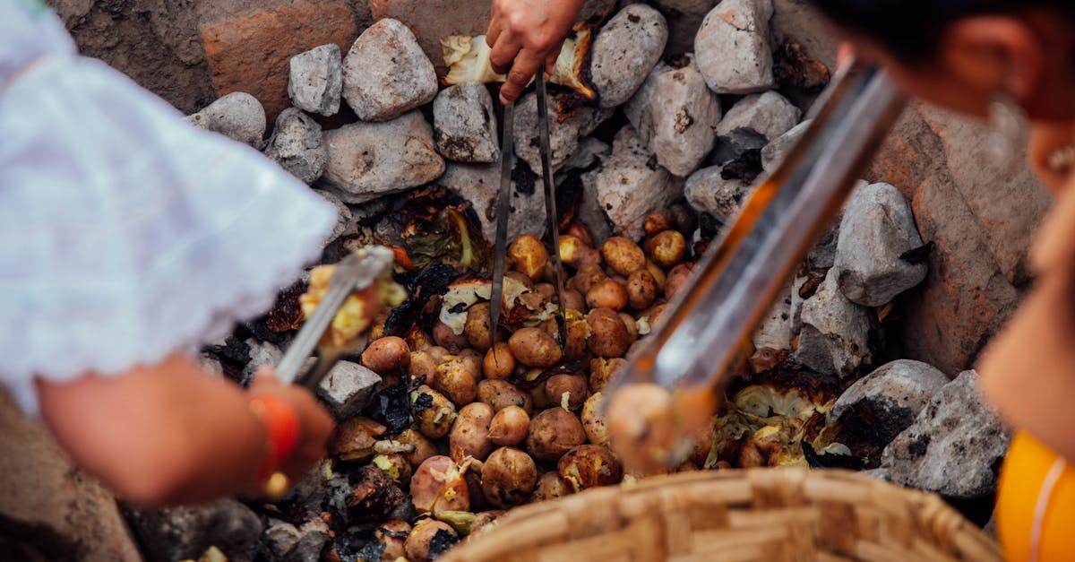 Comment la gastronomie régionale dévoile-t-elle l’âme des territoires ?