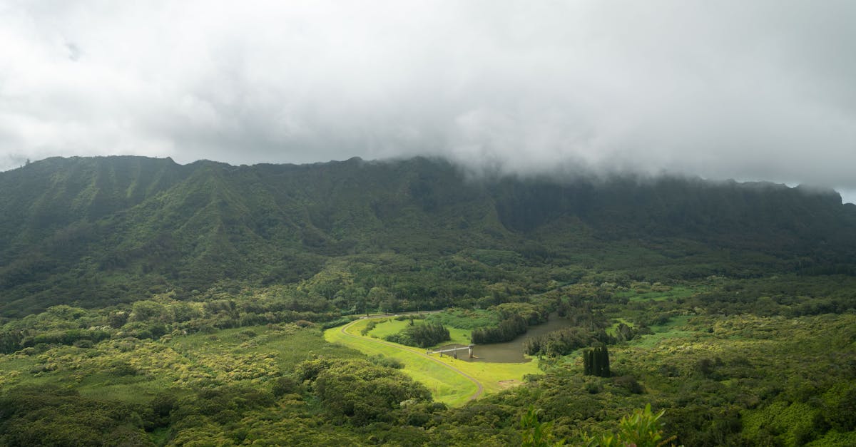 découvrez l'écotourisme : une manière responsable de voyager tout en préservant la nature et en soutenant les communautés locales. explorez des destinations durables, engagez-vous dans des activités respectueuses de l'environnement et contribuez à la protection de notre planète.