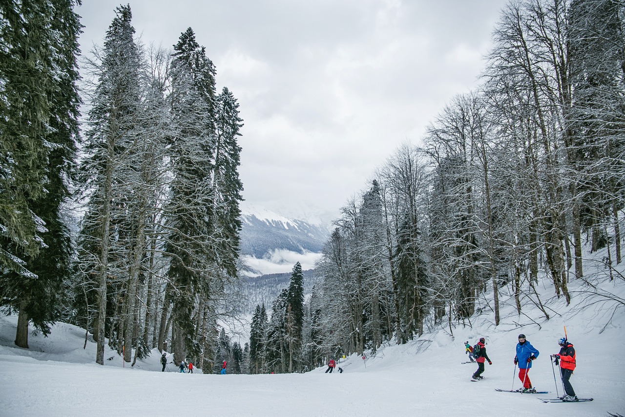 découvrez les meilleures activités de plein air pour l'hiver ! que vous soyez amateur de ski, de randonnées en raquettes ou de promenades en chien de traîneau, profitez des paysages enneigés et des expériences uniques en plein air pendant la saison hivernale.