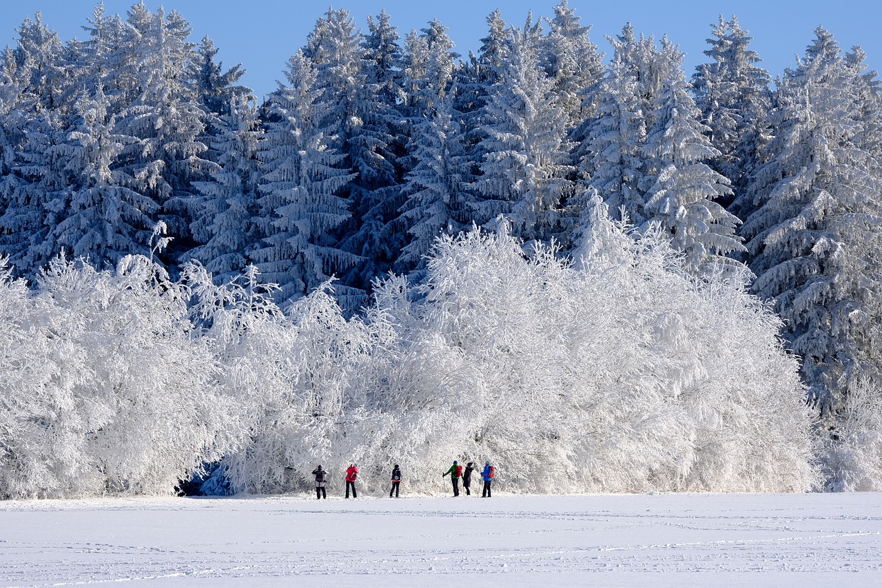 Étonnantes escapades d’hiver à Ottawa