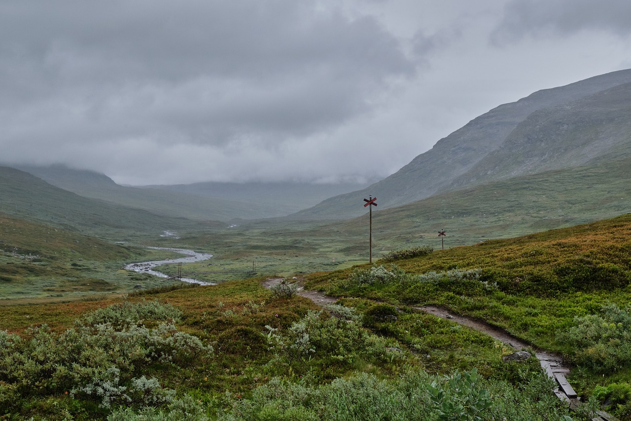 découvrez des aventures en plein air inoubliables : randonnées, escalades, et excursions en nature pour les amateurs de sensations fortes et de paysages époustouflants.