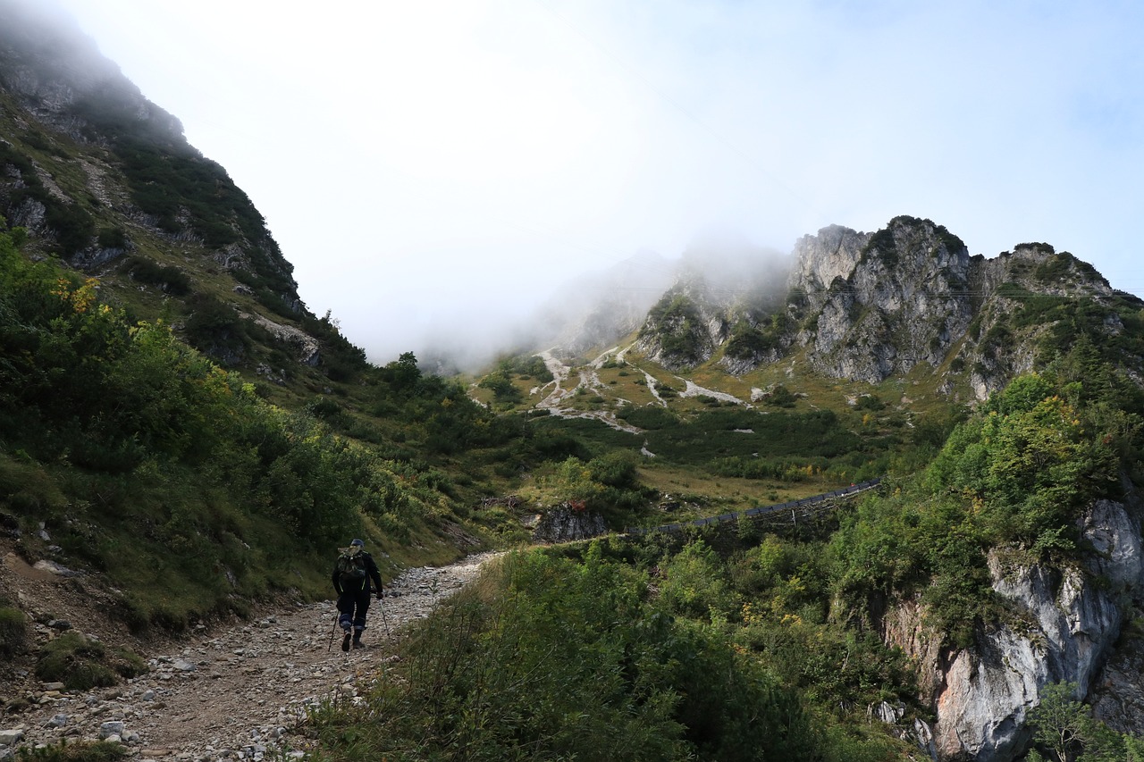 découvrez des randonnées accessibles pour tous, adaptées aux familles et aux personnes à mobilité réduite. explorez des sentiers faciles à parcourir et profitez de la beauté des paysages sans contraintes.