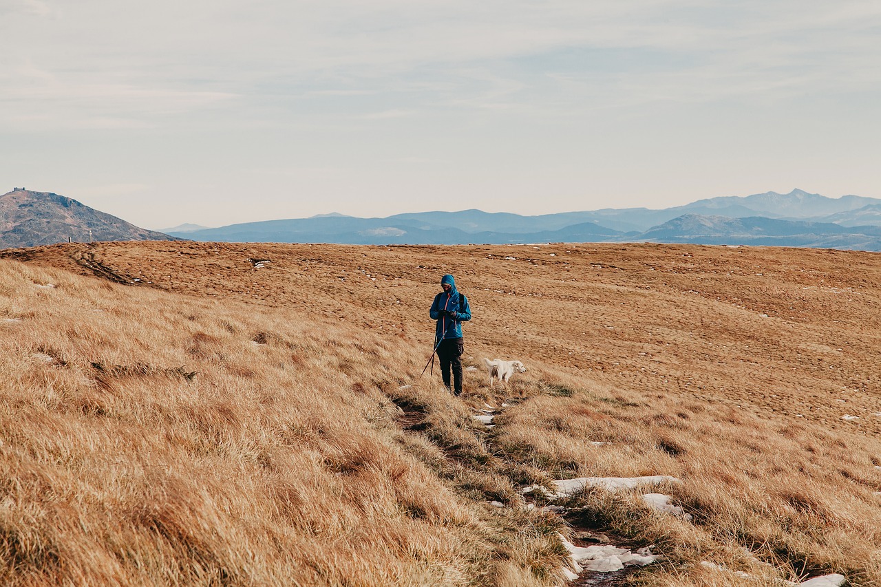 découvrez le tourisme d'aventure : vivez des expériences inoubliables à travers des activités palpitantes comme le hiking, le rafting et l'escalade. explorez des destinations hors des sentiers battus et laissez l'adrénaline vous guider vers des paysages époustouflants.