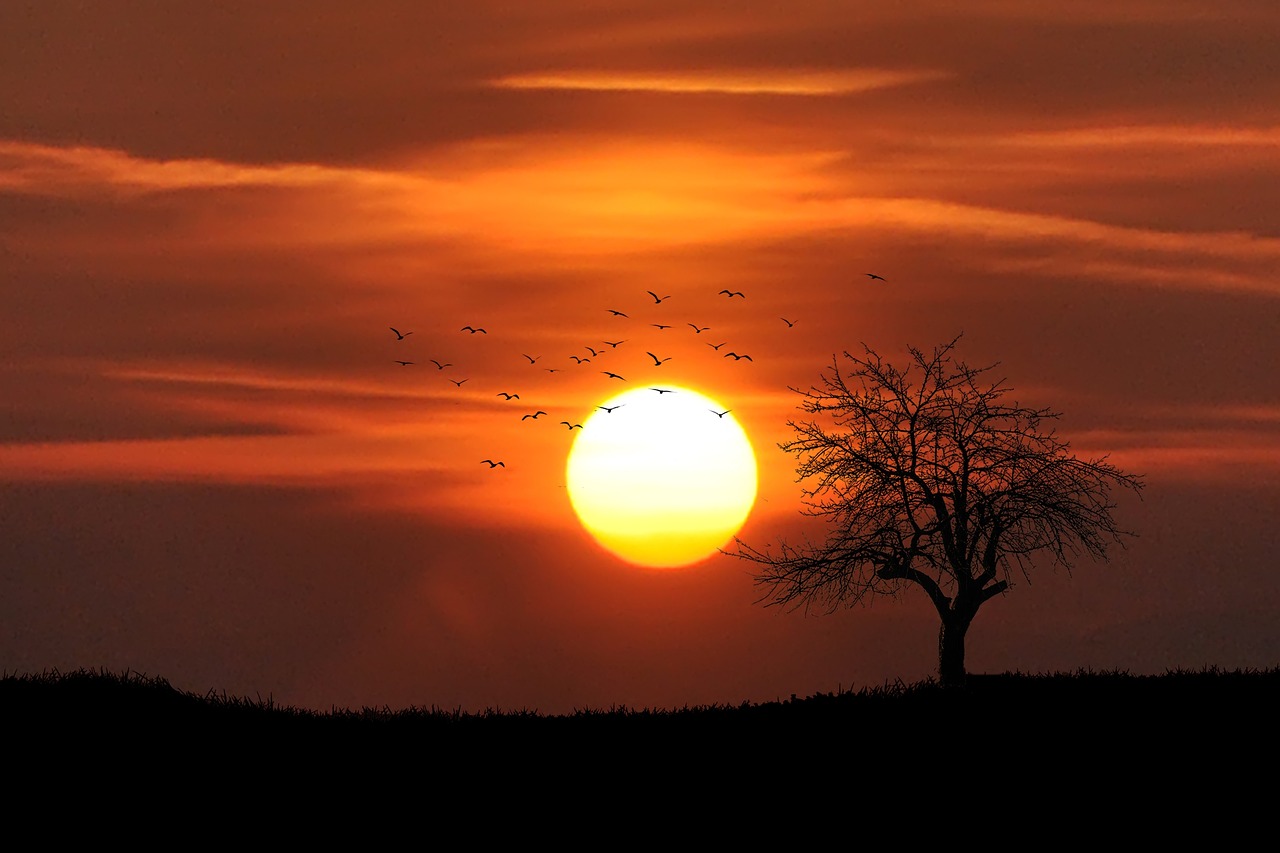 découvrez le soleil, notre étoile rayonnante qui illumine la terre, régule notre climat et influence notre bien-être. apprenez-en davantage sur ses propriétés, son rôle vital dans la photosynthèse et les activités humaines, et explorez les mythes et légendes qui l'entourent.