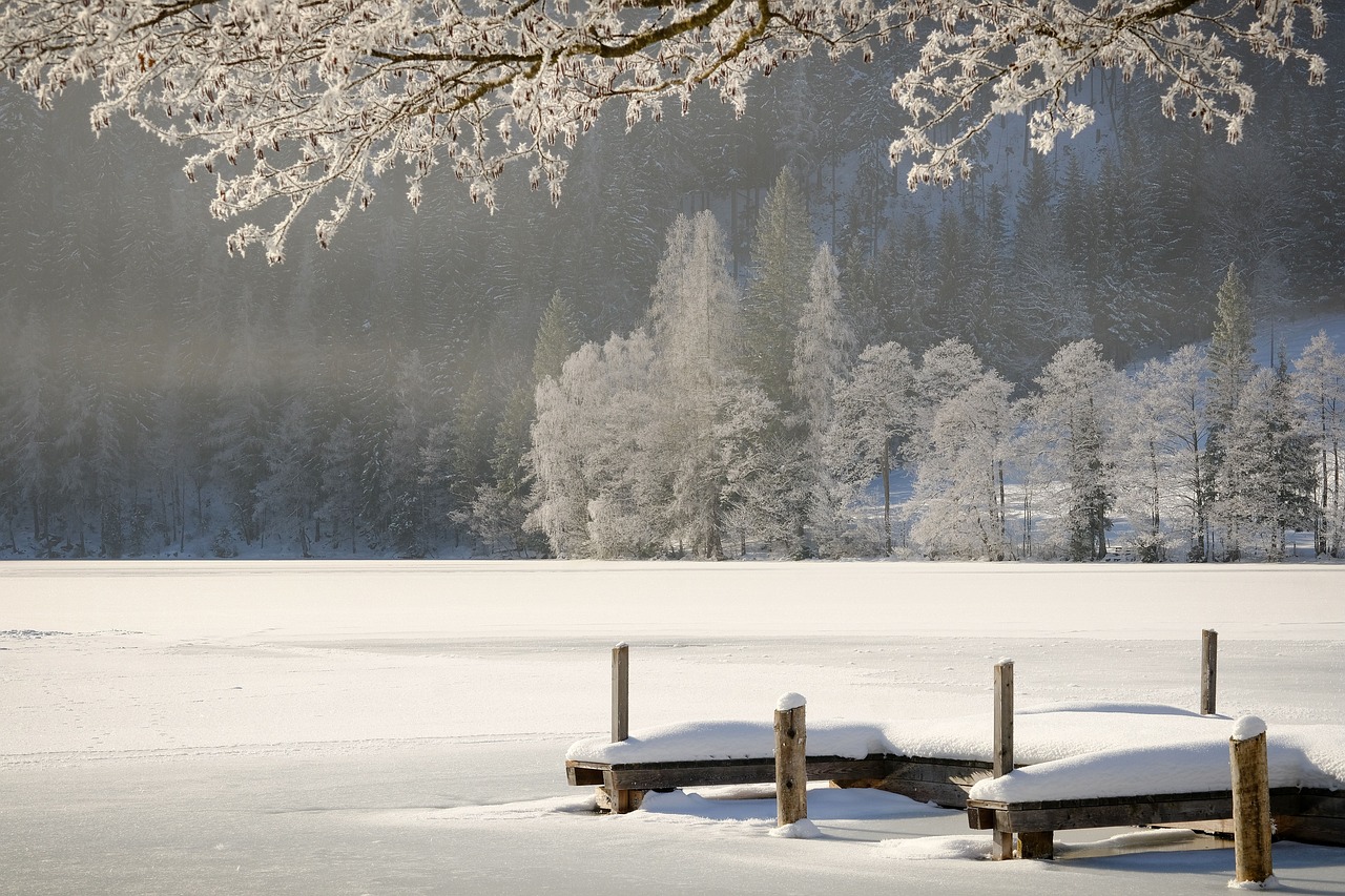 découvrez des activités de plein air pour l'hiver qui vous permettront de profiter des paysages enneigés, de rester actif et de vous amuser en famille ou entre amis. que ce soit le ski, la randonnée dans la neige ou la construction de bonhommes de neige, explorez des idées pour un hiver inoubliable !