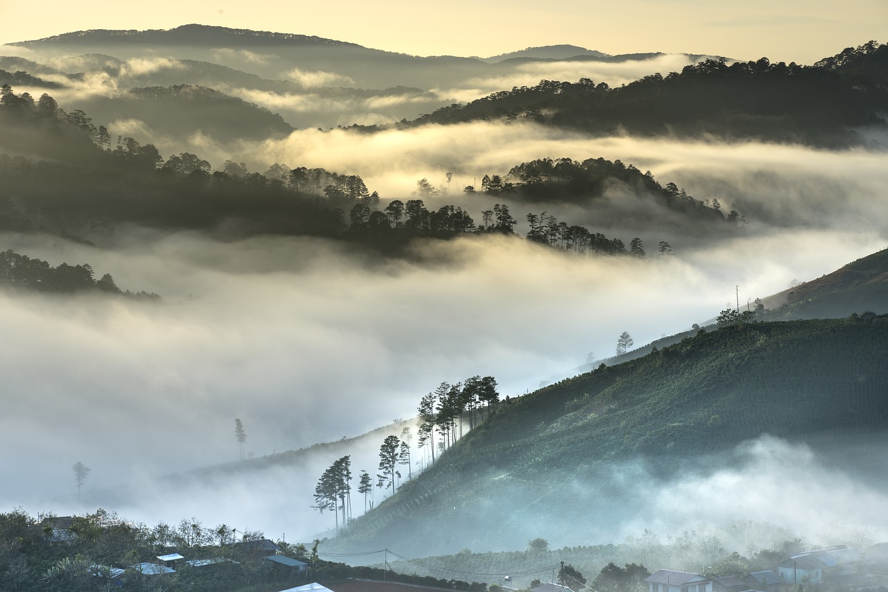 découvrez l'asie, un continent riche en cultures diversifiées, paysages majestueux et traditions anciennes. explorez ses trésors, de la cuisine savoureuse aux merveilles naturelles, et plongez dans l'histoire fascinante qui façonne cette région unique du monde.