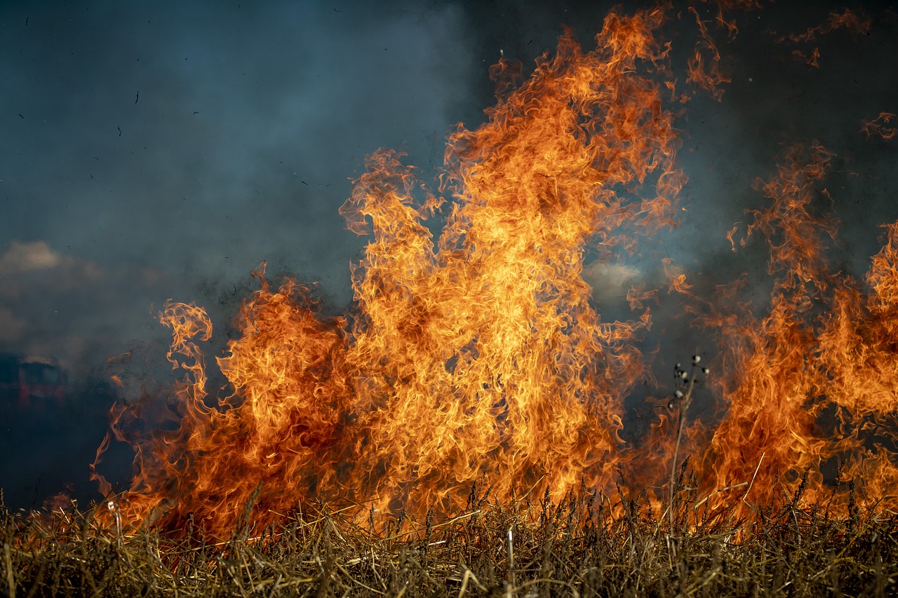 Incendies à Los Angeles : Impact sur les voyageurs français et conseils pratiques