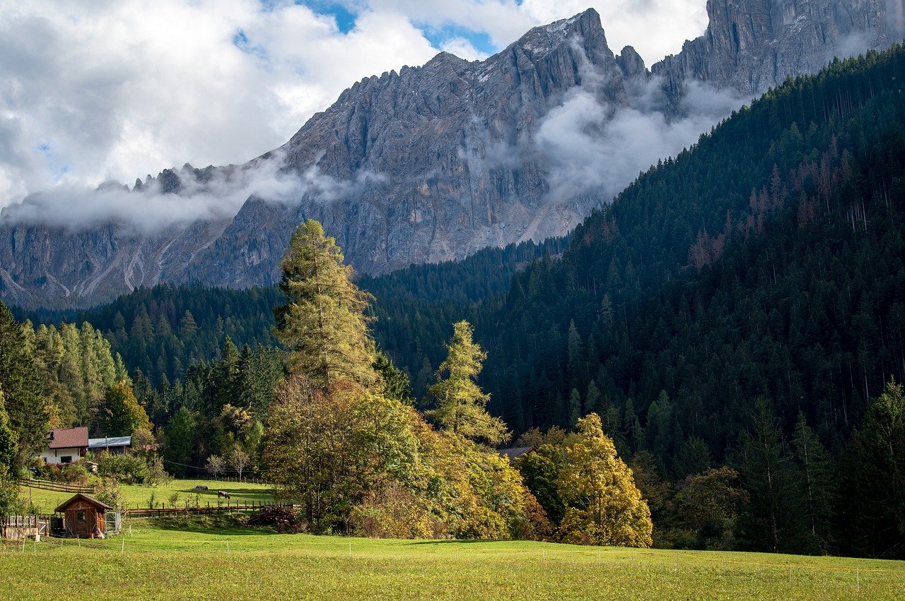 découvrez le tourisme rural : une immersion dans la nature, des rencontres authentiques et des expériences uniques à la campagne. évadez-vous des sentiers battus et explorez les charme des villages, la gastronomie locale et les activités en plein air qui font la richesse de nos territoires.