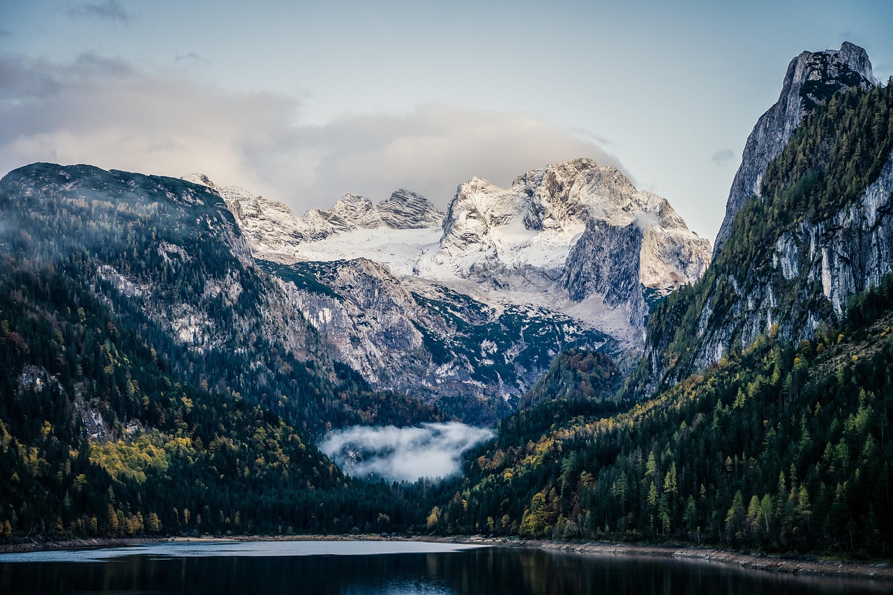 découvrez les merveilles du hiking en pleine nature ! explorez des sentiers pittoresques, profitez de paysages époustouflants et connectez-vous avec la beauté environnante. que vous soyez débutant ou un randonneur aguerri, vivez une aventure inoubliable en randonnée.