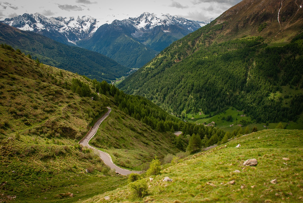 Voyager avec des animaux : des destinations adaptées