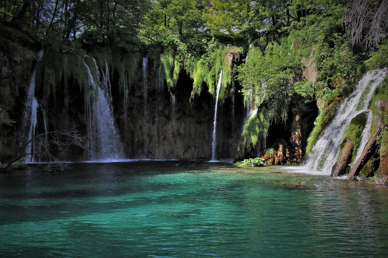 découvrez l'écotourisme, une approche de voyage durable qui préserve l'environnement et soutient les communautés locales. explorez des destinations uniques tout en participant à des initiatives de conservation et en minimisant votre empreinte écologique.