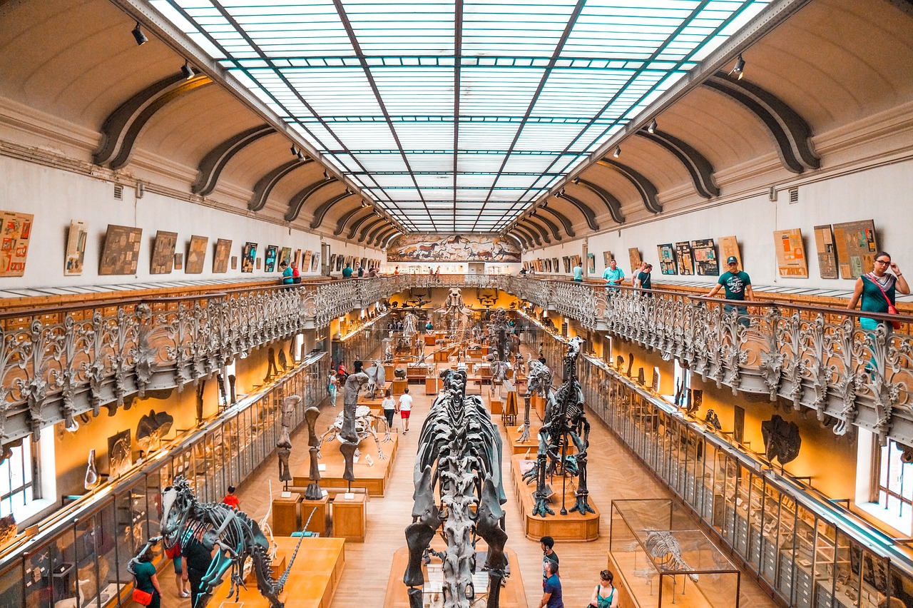 découvrez l'univers fascinant des musées à travers le monde : des expositions d'art exceptionnel, des collections historiques et des expériences culturelles inoubliables. plongez dans l'histoire, la science et la créativité humaine au sein de ces lieux emblématiques.