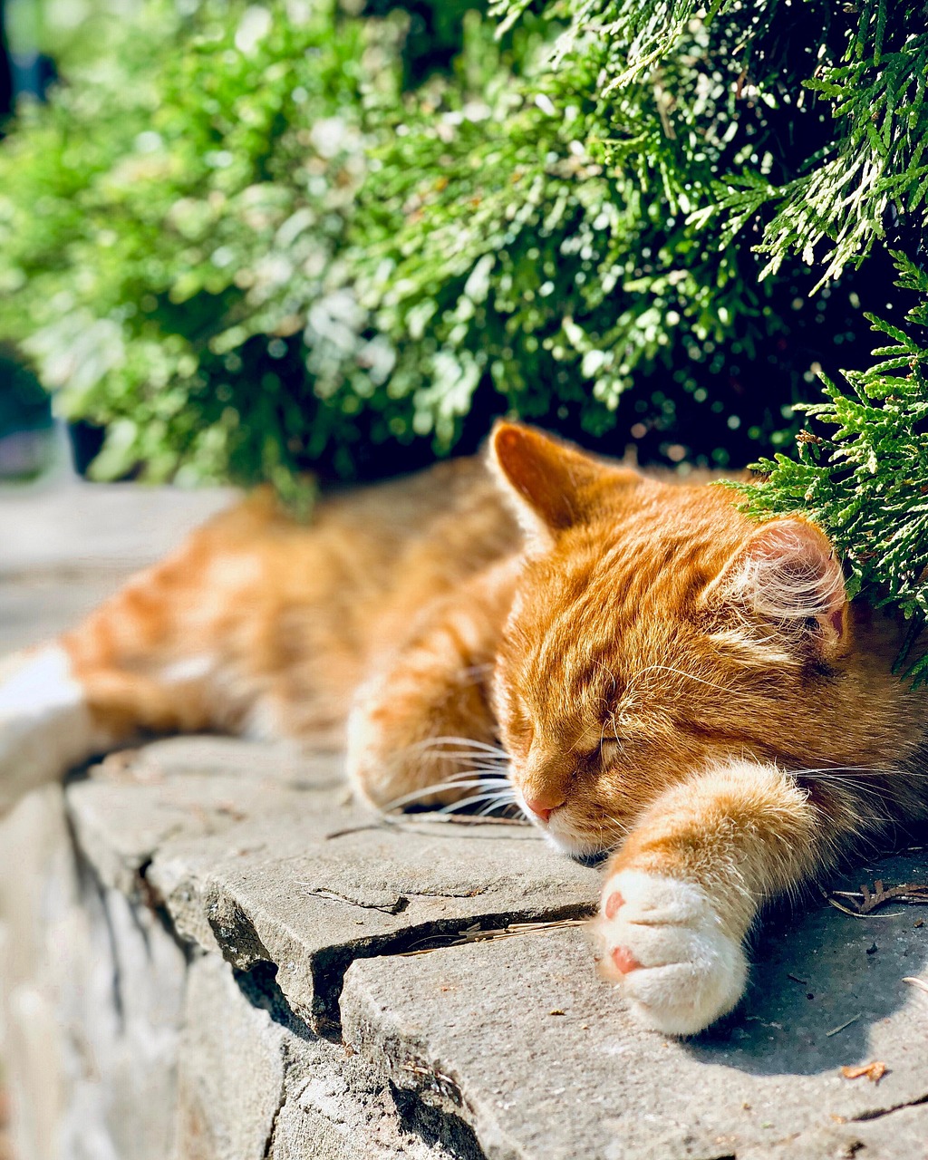 découvrez les meilleurs aires de repos pour rendre vos voyages plus agréables. profitez de commodités, de paysages relaxants et d'un moment de détente sur la route.