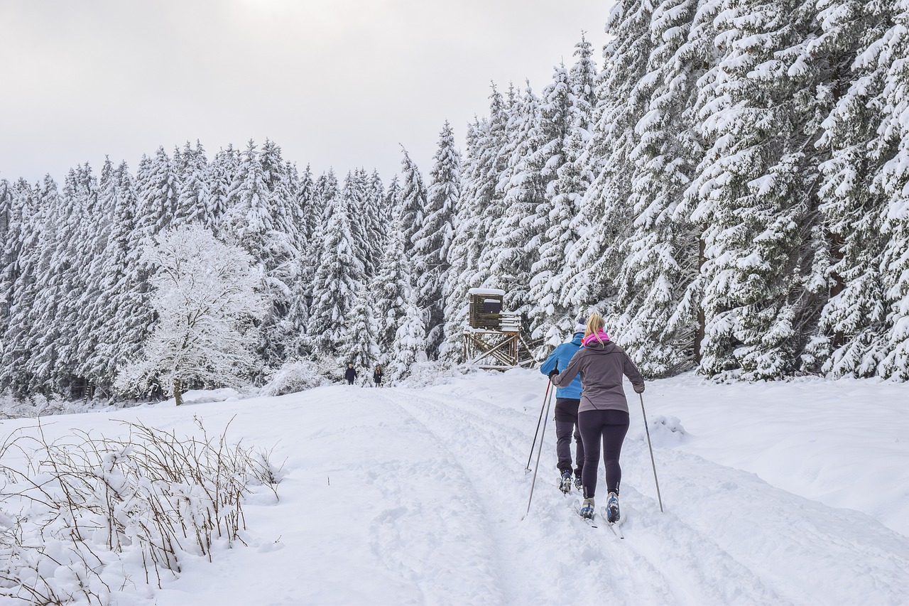 découvrez les meilleures destinations de ski pour des vacances inoubliables. que vous soyez débutant ou skieur expérimenté, explorez des stations prisées en france et à l'étranger, offrant des pistes variées, des paysages à couper le souffle et des activités après-ski passionnantes.