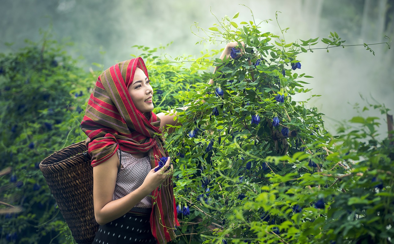 découvrez la richesse et la diversité de la culture vietnamienne, entre traditions ancestrales, délicieuses cuisines, fêtes colorées et artisanat authentique. plongez au cœur d'un patrimoine fascinant qui allie harmonieusement passé et modernité.