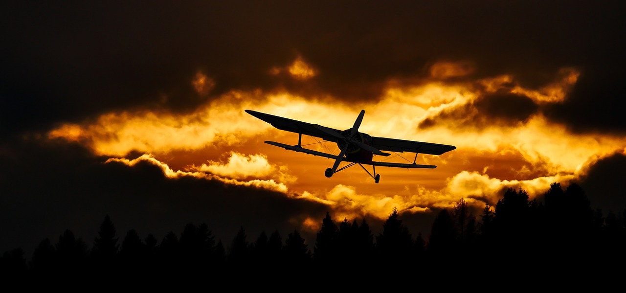 découvrez l'univers fascinant de l'aviation, des dernières innovations technologiques aux grands principes de la navigation aérienne. explorez l'histoire de l'aviation, les différents types d'aéronefs, et les enjeux environnementaux actuels qui façonnent l'avenir du transport aérien.