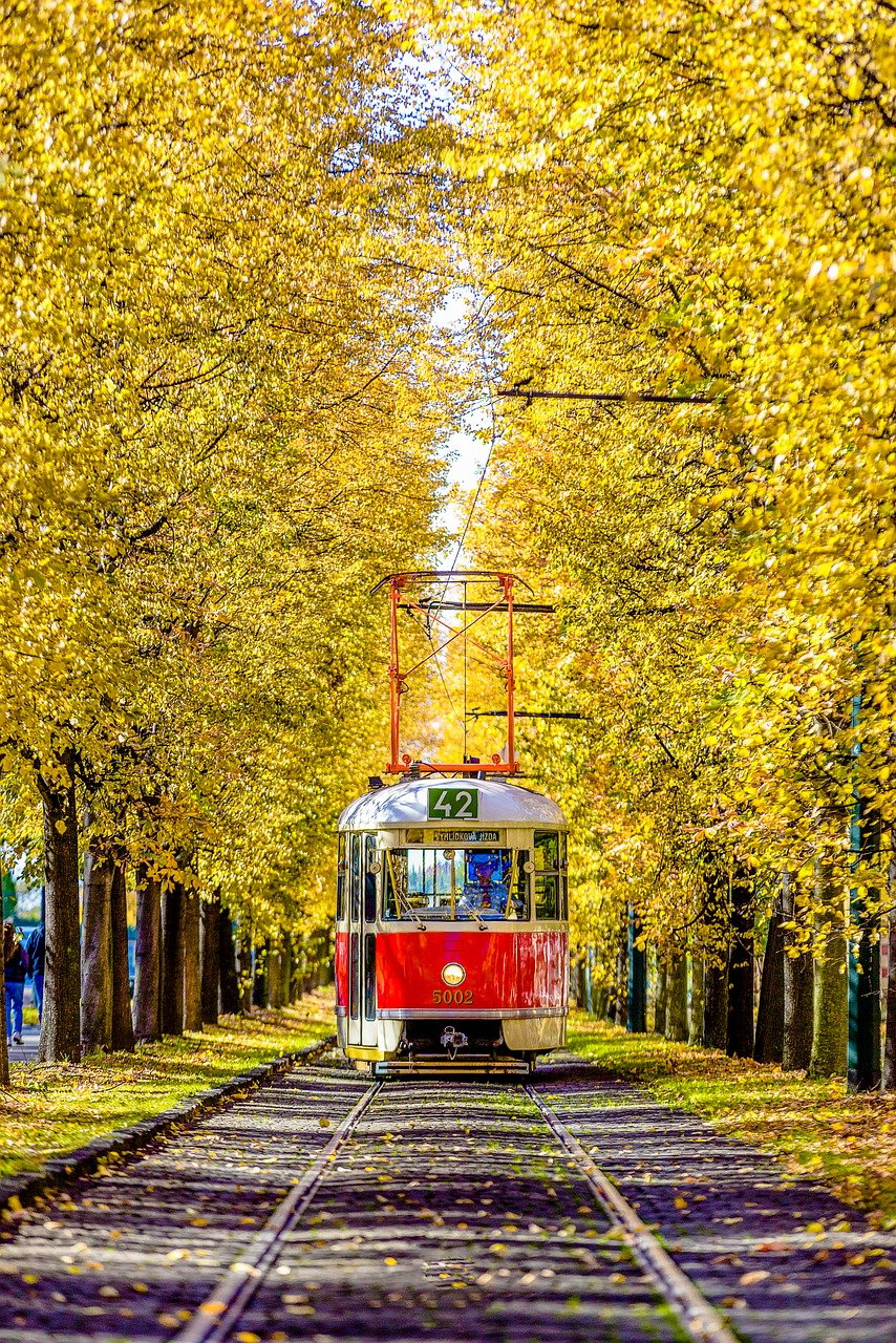 découvrez les avantages des transports en commun : une solution économique et écologique pour vos déplacements quotidiens. explorez les différents modes de transport, comme le bus, le tram ou le métro, et apprenez comment optimiser vos trajets tout en réduisant votre empreinte carbone.