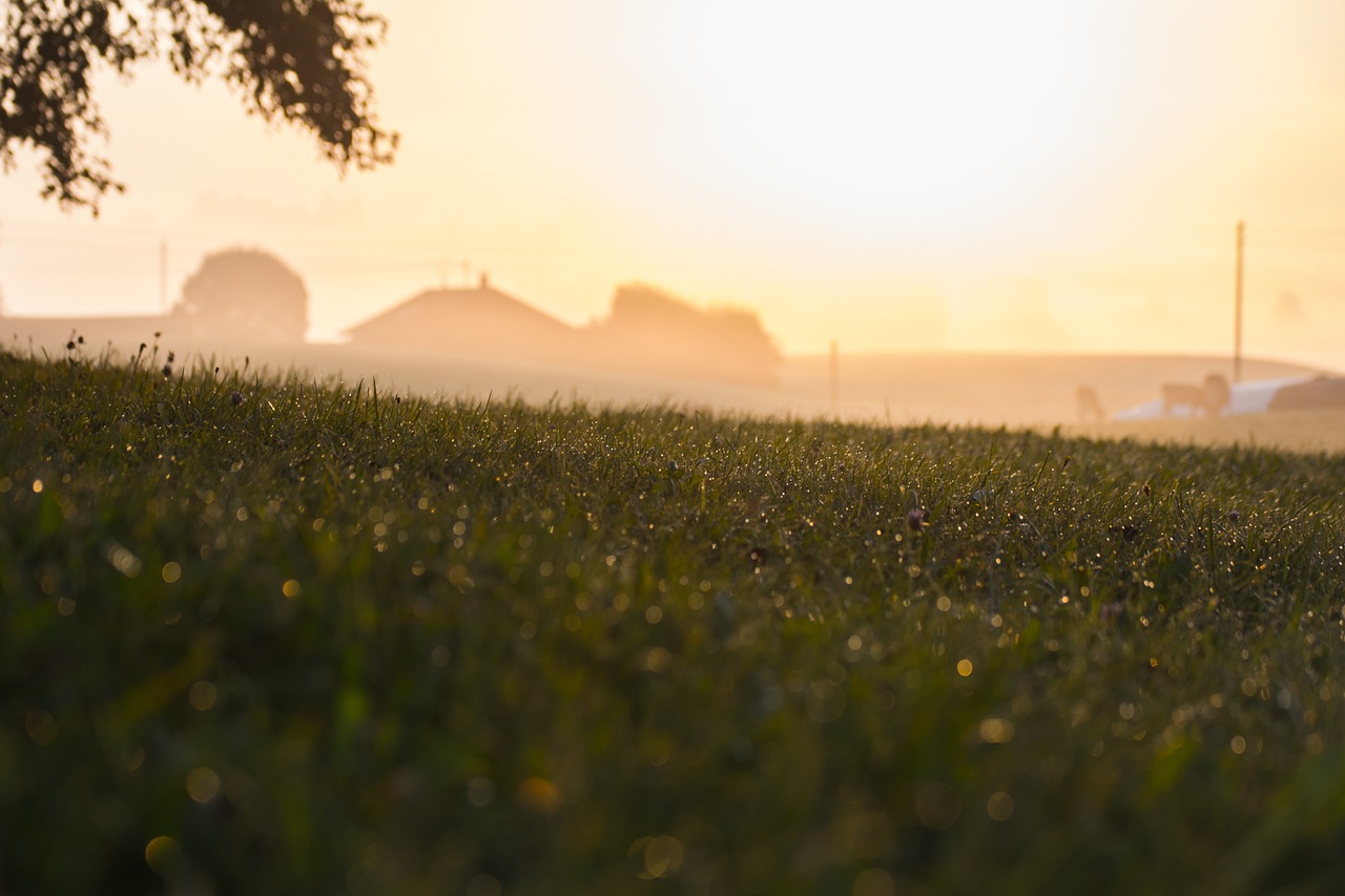 Le rôle des agriculteurs dans la gastronomie