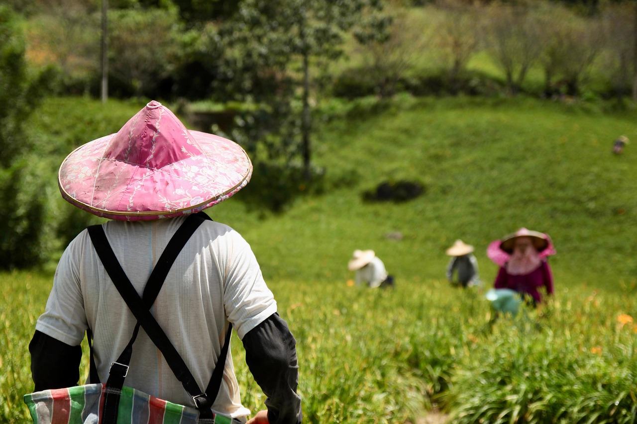 découvrez l'univers passionnant des agriculteurs, où tradition et innovation se rencontrent pour cultiver des produits de qualité. apprenez-en plus sur les méthodes modernes d'agriculture, les défis du secteur et l'importance des agriculteurs dans notre quotidien.