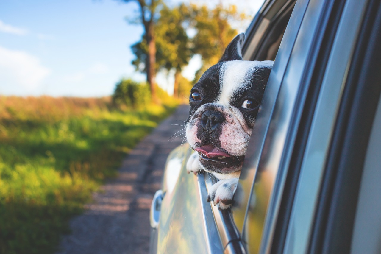 découvrez des aventures inoubliables à travers des road trips captivants. explorez des paysages époustouflants, des arrêts culturels et gastronomiques uniques, et vivez la liberté de la route. préparez-vous pour des souvenirs mémorables au volant de votre voiture!