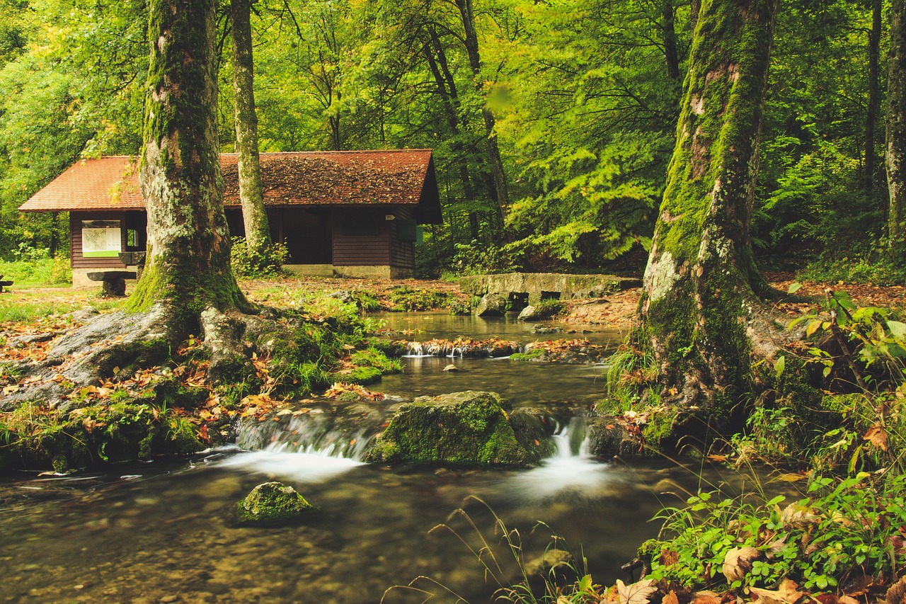 découvrez les meilleurs campings pittoresques où la nature s'épanouit, offrant des vues à couper le souffle, des activités en plein air variées et des moments de détente inoubliables en pleine nature.