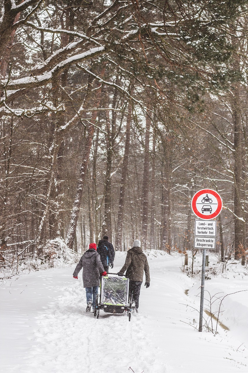 découvrez le thule outset, un porte-vélos innovant conçu pour allier sécurité et praticité. idéal pour les aventures en plein air, il facilite le transport de vos vélos tout en garantissant une installation aisée sur votre véhicule. parfait pour les passionnés de cyclisme, il combine robustesse et style.