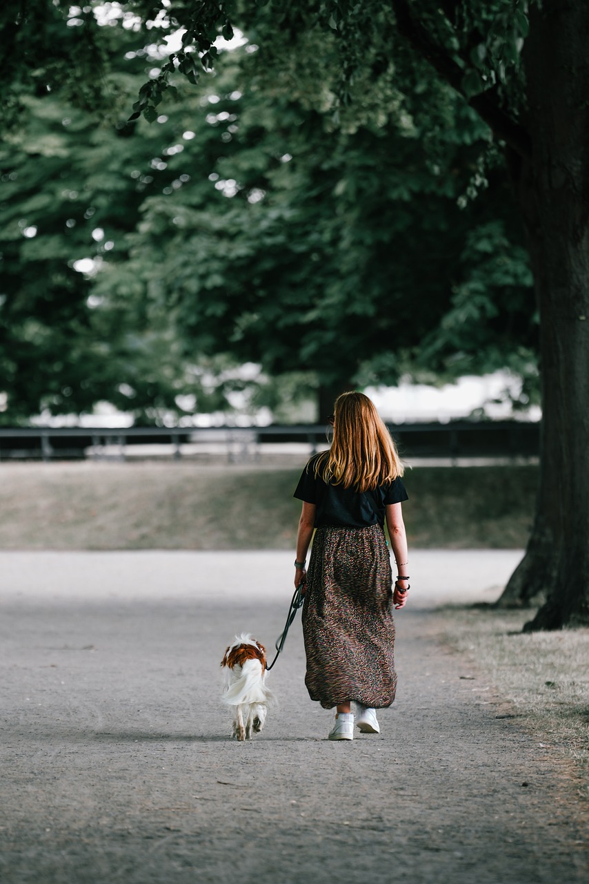 Les propriétés curatives des promenades en nature