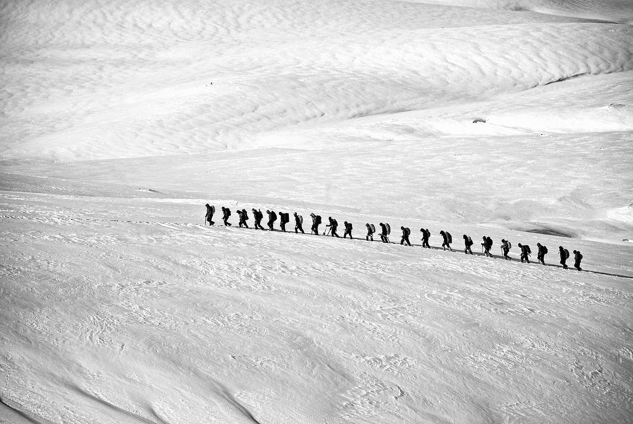 découvrez des excursions de groupe inoubliables ! explorez des destinations fascinantes, partagez des expériences mémorables et créez des liens avec d'autres aventuriers. réservez votre prochaine aventure dès aujourd'hui !