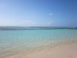 découvrez la beauté envoûtante de la guadeloupe, une île paradisiaque des caraïbes aux plages de sable fin, à la nature luxuriante et à la culture riche. plongez dans ses eaux cristallines, savourez sa cuisine créole et explorez ses paysages époustouflants. idéale pour des vacances inoubliables !