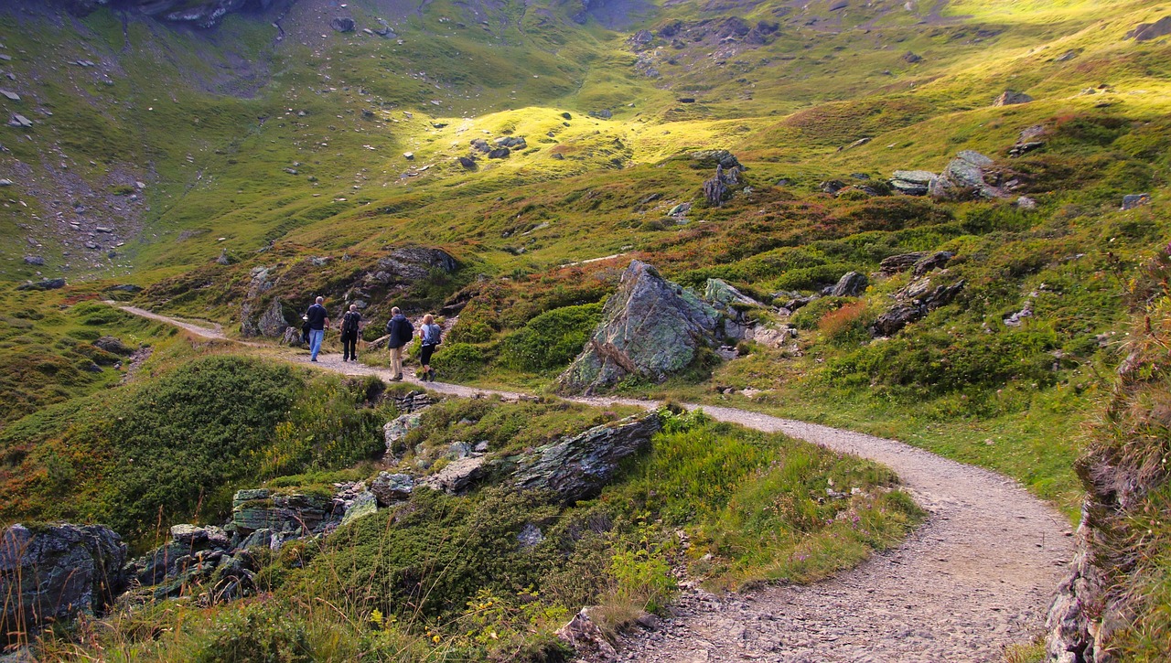 découvrez nos circuits organisés qui vous plongent au cœur des destinations incontournables. profitez d'une expérience sans stress avec des itinéraires soigneusement planifiés et des accompagnateurs expérimentés.