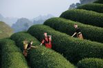 découvrez des expériences uniques et inoubliables qui éveilleront vos sens et enrichiront votre quotidien. explorez notre sélection d'activités passionnantes et transformez chaque moment en un souvenir mémorable.