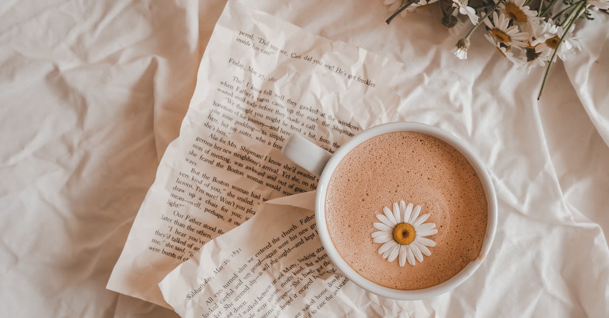 découvrez le charme authentique de notre bed and breakfast, un havre de paix offrant confort et hospitalité. profitez d'un petit-déjeuner fait maison dans une ambiance conviviale, idéal pour un séjour relaxant en pleine nature ou à proximité des attractions locales.