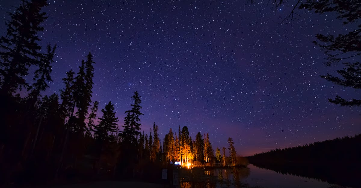 découvrez nos conseils essentiels pour un camping réussi ! apprenez à choisir le meilleur emplacement, à préparer vos équipements et à profiter pleinement de la nature en toute sécurité. que vous soyez débutant ou amateur de plein air, nos astuces vous guideront vers une expérience inoubliable.