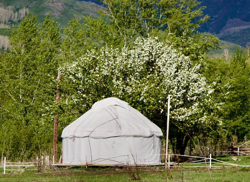Camping : les meilleures astuces pour une expérience inoubliable