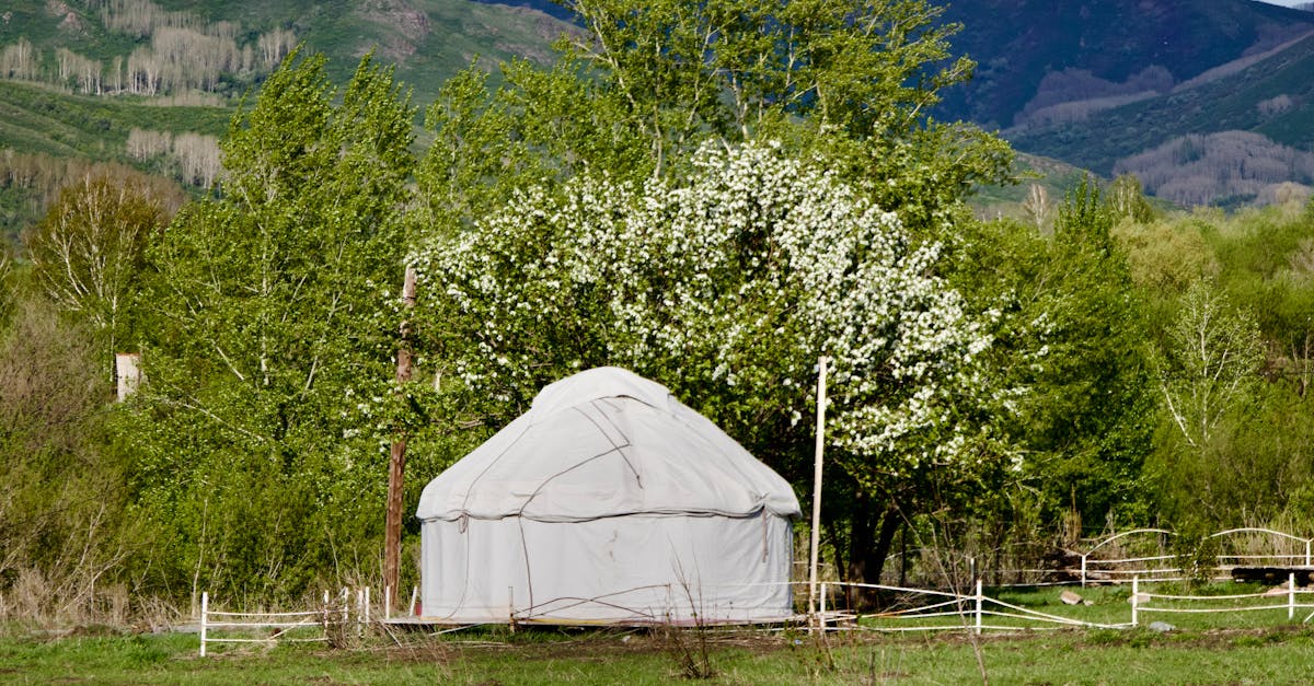 Camping : les meilleures astuces pour une expérience inoubliable