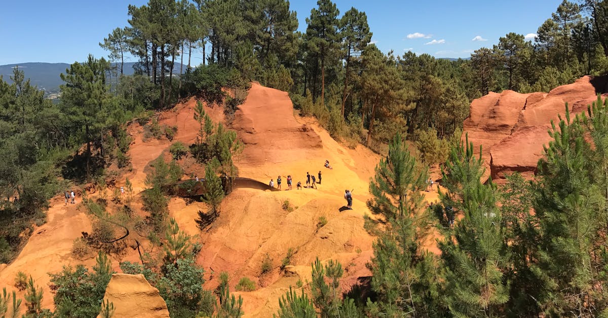 découvrez l'écotourisme, un voyage responsable et durable qui préserve la nature et soutient les communautés locales. explorez des destinations authentiques, connectez-vous avec l'environnement et vivez des expériences uniques tout en respectant notre planète.
