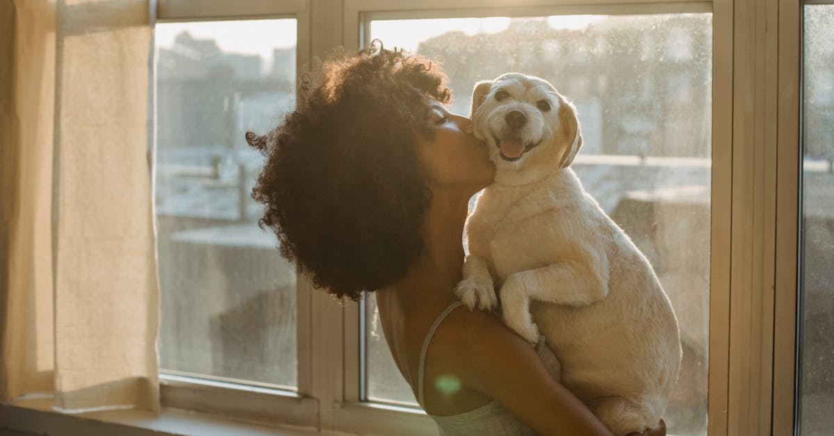découvrez les liens familiaux inestimables qui unissent les générations. explorez l'importance des relations entre parents, enfants et grands-parents, ainsi que l'impact des souvenirs partagés sur le bonheur familial.