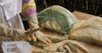 découvrez la richesse de la cuisine locale : des recettes traditionnelles aux ingrédients frais, explorez les saveurs authentiques qui font la fierté de notre patrimoine culinaire.