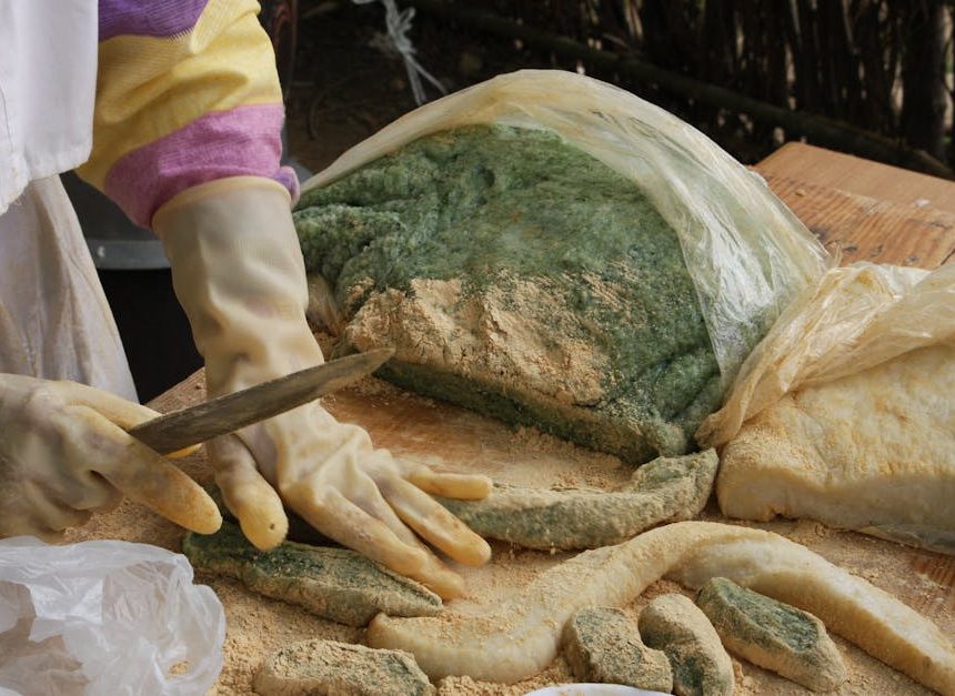 Gastronomie locale : découvrez les saveurs authentiques de notre région