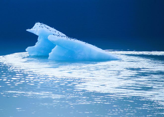 Découvrez le pôle de pleine nature à Pléchâtel : une expérience à ne pas manquer