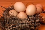 découvrez les enjeux de la surpopulation, ses impacts sur l'environnement et la qualité de vie, ainsi que des solutions innovantes pour relever ce défi mondial croissant.