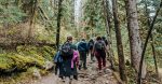 découvrez le tourisme durable : une approche qui préserve l'environnement tout en offrant des expériences uniques. engagez-vous dans des voyages responsables et respectueux des cultures locales.